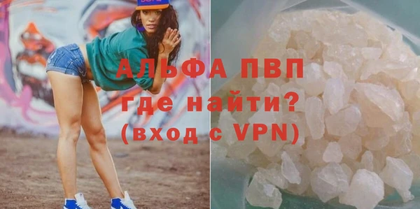 тгк Абаза