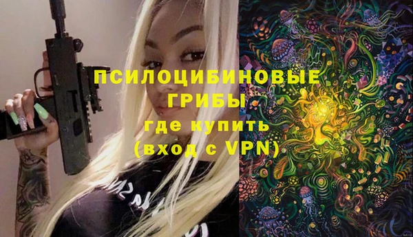 тгк Абаза