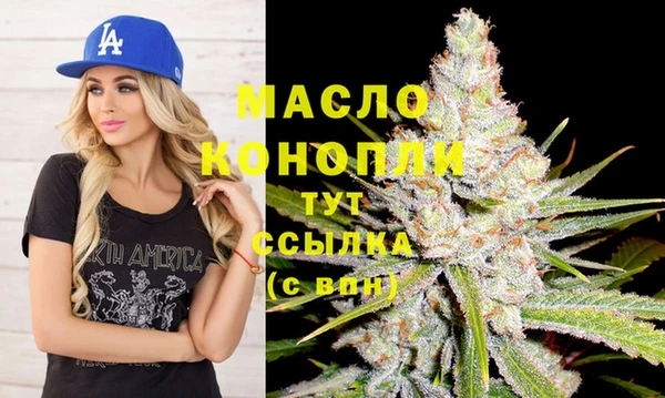 тгк Абаза