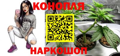 а пвп мука Тулун