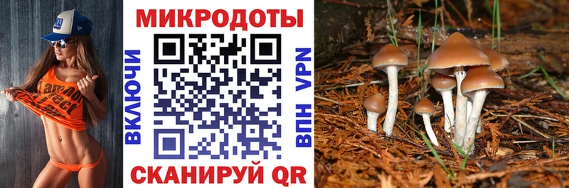 Псилоцибиновые грибы Psilocybe MEGA ссылки Серпухов