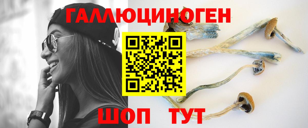 Галлюциногенные грибы Psilocybe  Вход с VPN  Серпухов 